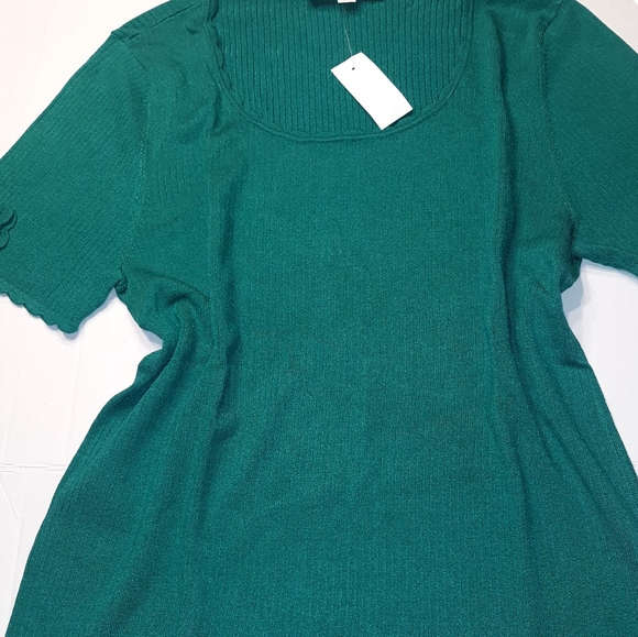 Ann Taylor LOFT Beautiful scallopped edge Short Sleeve Sweater Top☆ XL - Picture 3 of 13